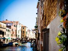 Flowers in the City of Venice